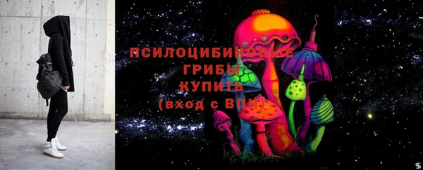 дживик Семилуки
