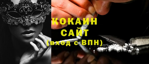 дживик Семилуки