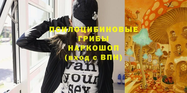 дживик Семилуки