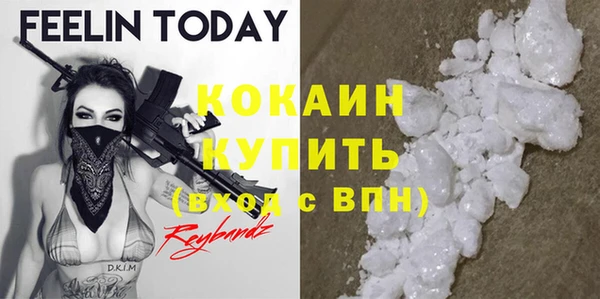 дживик Семилуки